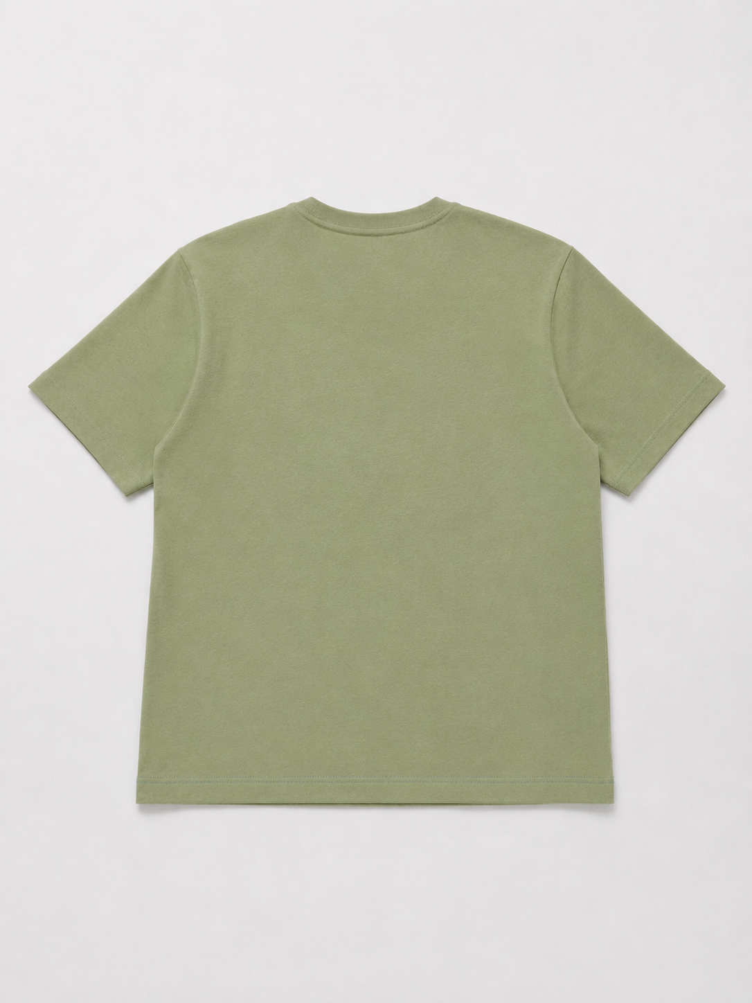 CAT OVERSIZED PISTACIO T-SHIRT 1408
