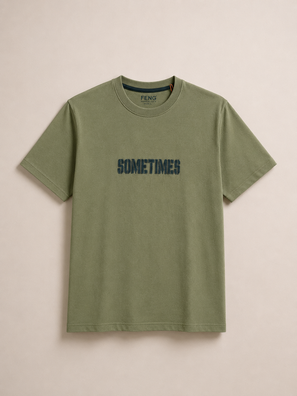 SOMETIMES NORMAL FIT PISTACIO T-SHIRT 1414