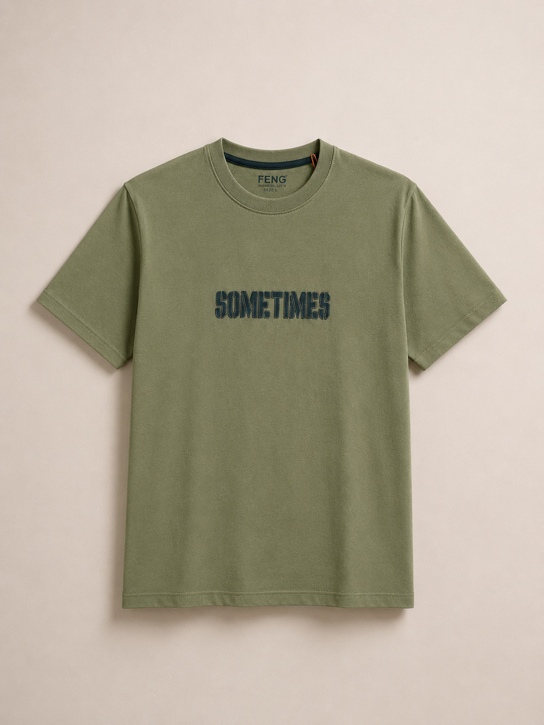 SOMETIMES NORMAL FIT PISTACIO T-SHIRT 1414