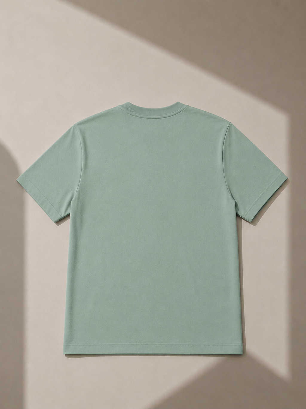 AMION SHOW NORMAL FIT PISTACIO T-SHIRT 1424