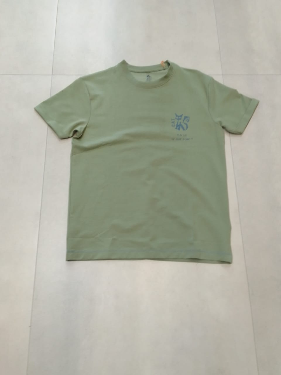 CAT OVERSIZED PISTACIO T-SHIRT 1408