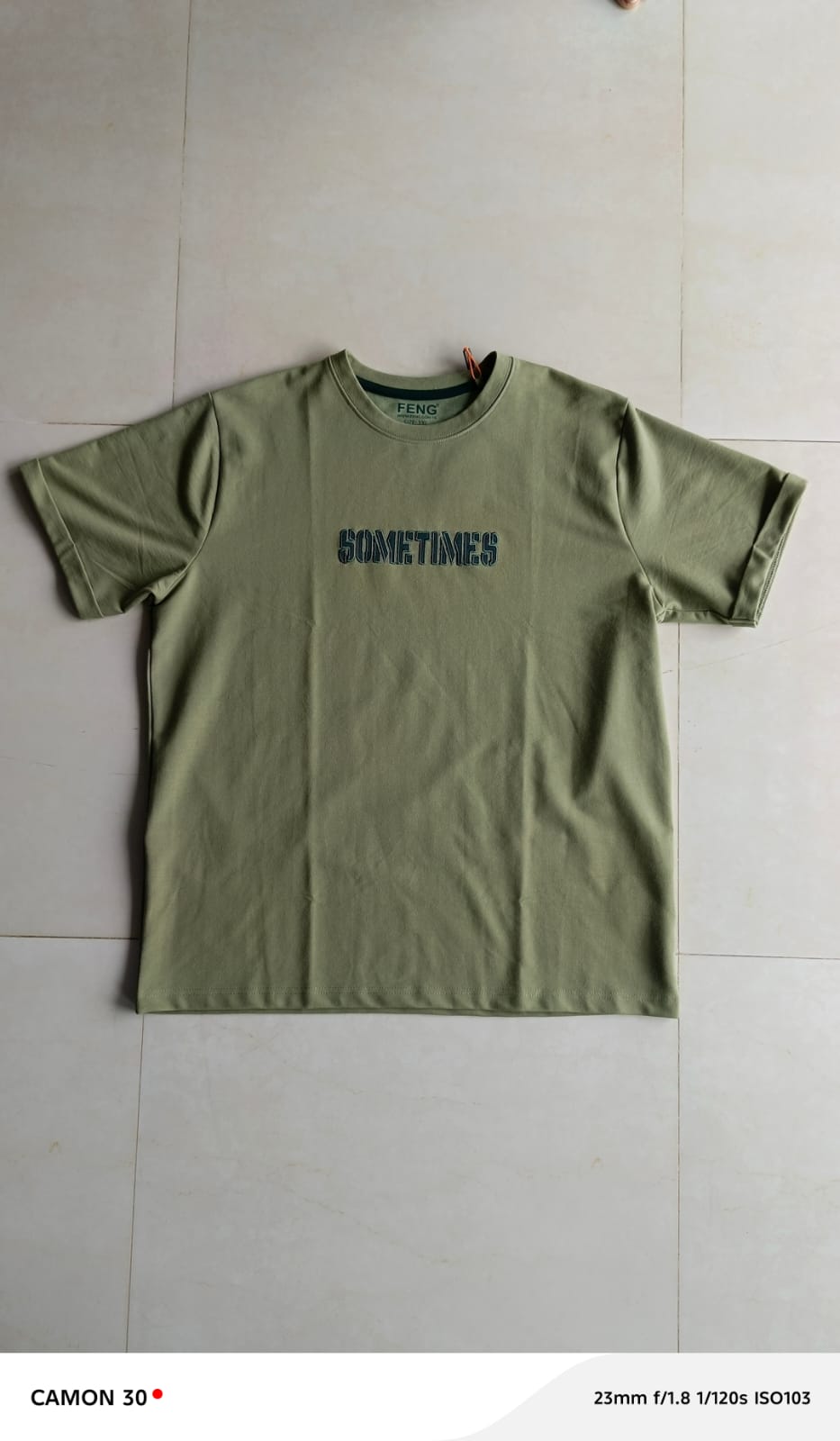 SOMETIMES NORMAL FIT PISTACIO T-SHIRT 1414