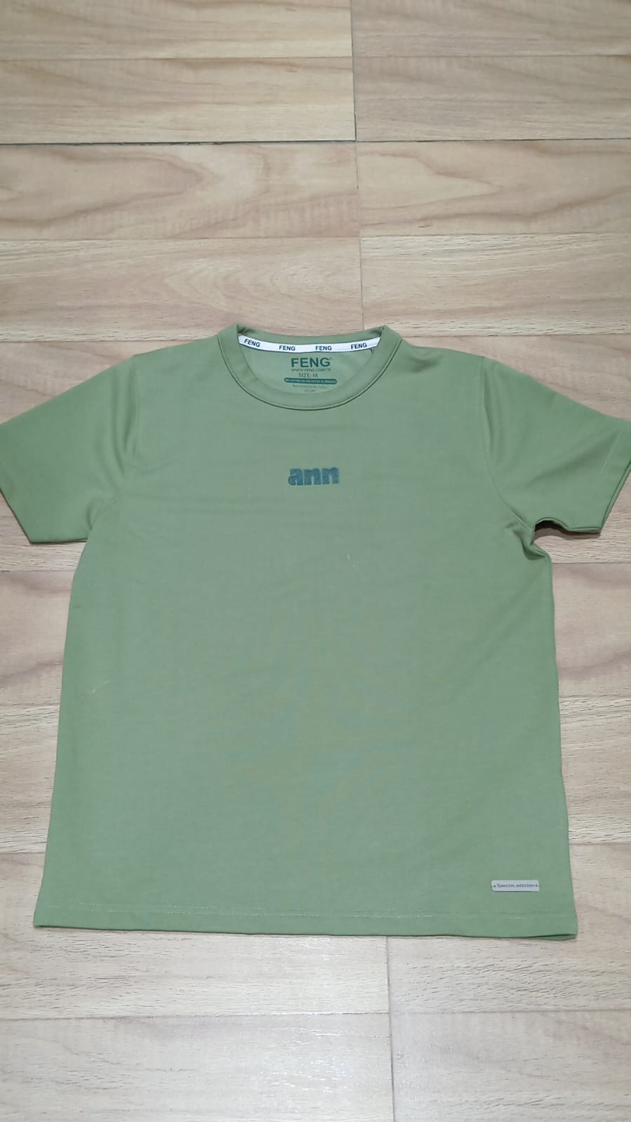 ANN NORMAL FIT PISTACIO T-SHIRT 1425